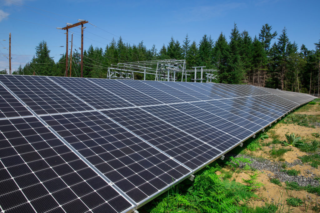 photo of cooperative community solar field