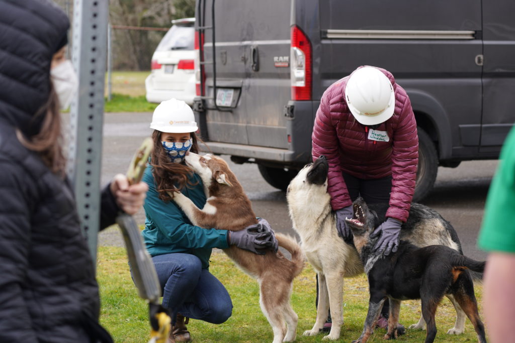 Photo of workers petting dogs